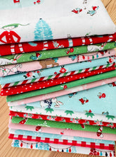 Pixie Noel #7 - 17 FQ’s